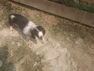 f:id:roukenhome-ann:20190718123843j:plain f:id:roukenhome-ann:20190718123843j:plain