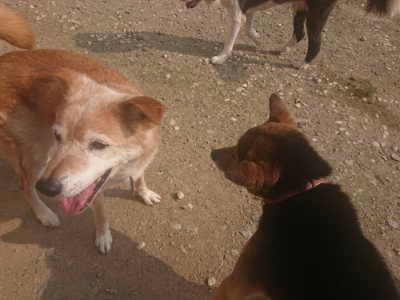f:id:roukenhome-ann:20190718123848j:plain f:id:roukenhome-ann:20190718123848j:plain