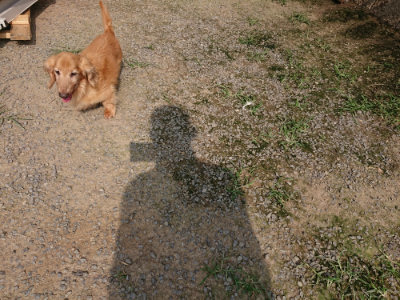 f:id:roukenhome-ann:20190718123854j:plain f:id:roukenhome-ann:20190718123854j:plain