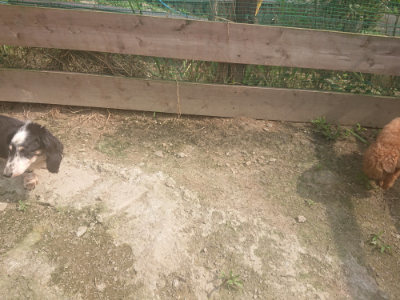 f:id:roukenhome-ann:20190718123905j:plain f:id:roukenhome-ann:20190718123905j:plain