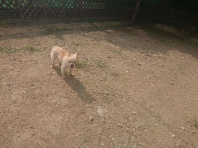 f:id:roukenhome-ann:20190718124804j:plain f:id:roukenhome-ann:20190718124804j:plain