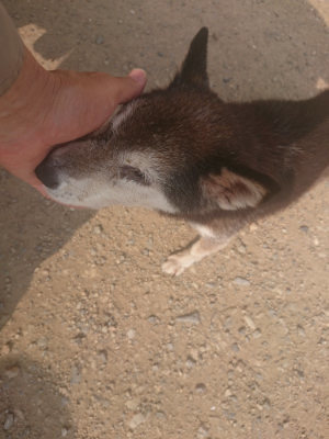 f:id:roukenhome-ann:20190718124810j:plain f:id:roukenhome-ann:20190718124810j:plain
