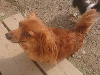 f:id:roukenhome-ann:20190718124815j:plain f:id:roukenhome-ann:20190718124815j:plain