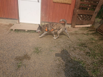 f:id:roukenhome-ann:20190718124836j:plain f:id:roukenhome-ann:20190718124836j:plain