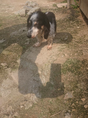 f:id:roukenhome-ann:20190718124841j:plain f:id:roukenhome-ann:20190718124841j:plain