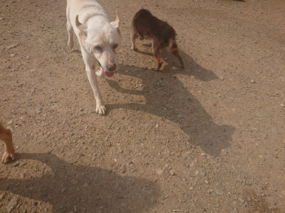 f:id:roukenhome-ann:20190718124846j:plain f:id:roukenhome-ann:20190718124846j:plain