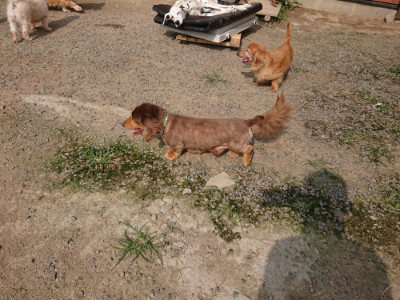 f:id:roukenhome-ann:20190718124857j:plain f:id:roukenhome-ann:20190718124857j:plain
