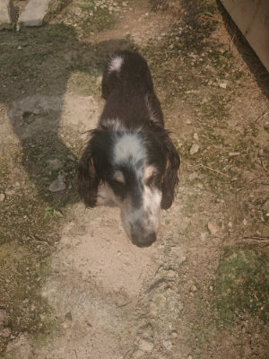 f:id:roukenhome-ann:20190718124901j:plain f:id:roukenhome-ann:20190718124901j:plain