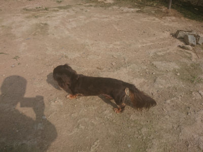 f:id:roukenhome-ann:20190718124916j:plain f:id:roukenhome-ann:20190718124916j:plain