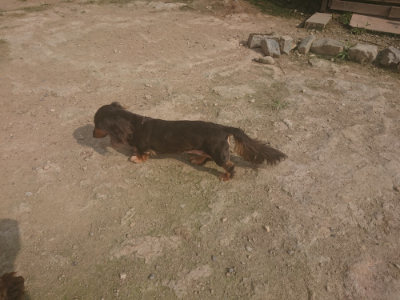 f:id:roukenhome-ann:20190718124936j:plain f:id:roukenhome-ann:20190718124936j:plain