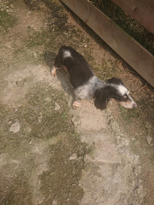 f:id:roukenhome-ann:20190718124941j:plain f:id:roukenhome-ann:20190718124941j:plain
