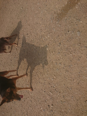 f:id:roukenhome-ann:20190718124947j:plain f:id:roukenhome-ann:20190718124947j:plain