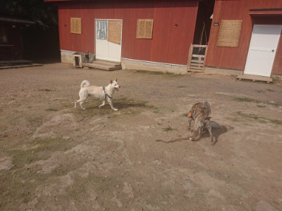 f:id:roukenhome-ann:20190718124951j:plain f:id:roukenhome-ann:20190718124951j:plain