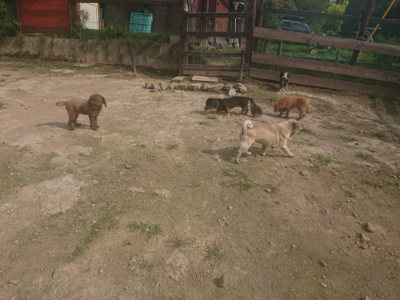 f:id:roukenhome-ann:20190718124956j:plain f:id:roukenhome-ann:20190718124956j:plain