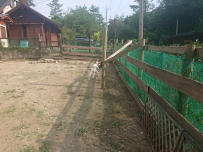 f:id:roukenhome-ann:20190718125017j:plain f:id:roukenhome-ann:20190718125017j:plain