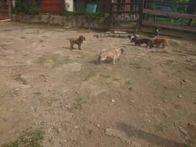 f:id:roukenhome-ann:20190718125021j:plain f:id:roukenhome-ann:20190718125021j:plain