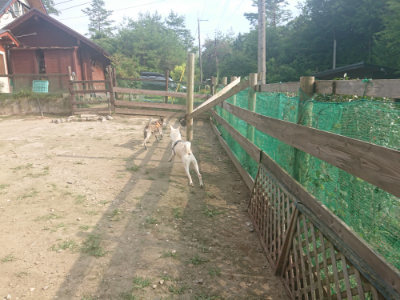 f:id:roukenhome-ann:20190718125032j:plain f:id:roukenhome-ann:20190718125032j:plain