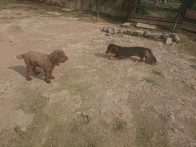 f:id:roukenhome-ann:20190718125045j:plain f:id:roukenhome-ann:20190718125045j:plain