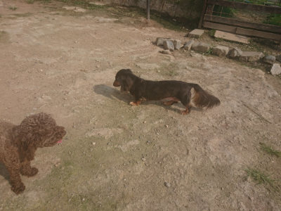 f:id:roukenhome-ann:20190718125049j:plain f:id:roukenhome-ann:20190718125049j:plain