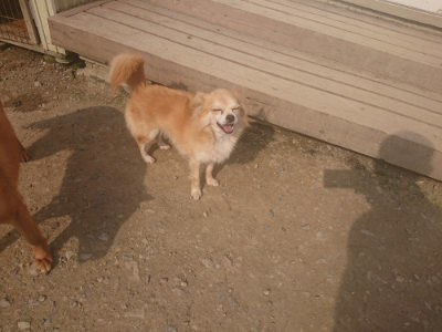 f:id:roukenhome-ann:20190718125054j:plain f:id:roukenhome-ann:20190718125054j:plain