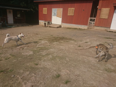 f:id:roukenhome-ann:20190718125106j:plain f:id:roukenhome-ann:20190718125106j:plain