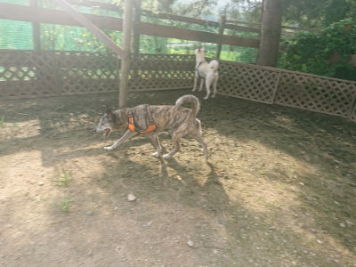 f:id:roukenhome-ann:20190718125117j:plain f:id:roukenhome-ann:20190718125117j:plain