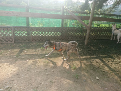 f:id:roukenhome-ann:20190718125121j:plain f:id:roukenhome-ann:20190718125121j:plain