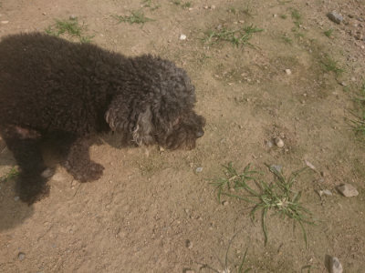 f:id:roukenhome-ann:20190718125131j:plain f:id:roukenhome-ann:20190718125131j:plain