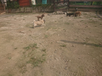 f:id:roukenhome-ann:20190718125136j:plain f:id:roukenhome-ann:20190718125136j:plain