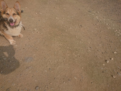 f:id:roukenhome-ann:20190718125145j:plain f:id:roukenhome-ann:20190718125145j:plain