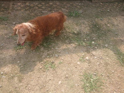 f:id:roukenhome-ann:20190718125155j:plain f:id:roukenhome-ann:20190718125155j:plain