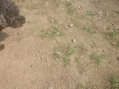 f:id:roukenhome-ann:20190718125201j:plain f:id:roukenhome-ann:20190718125201j:plain