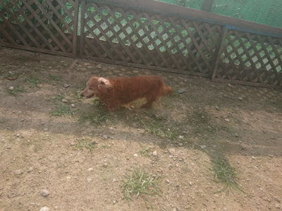 f:id:roukenhome-ann:20190718125212j:plain f:id:roukenhome-ann:20190718125212j:plain