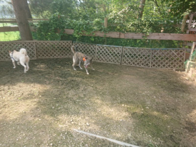 f:id:roukenhome-ann:20190718125224j:plain f:id:roukenhome-ann:20190718125224j:plain