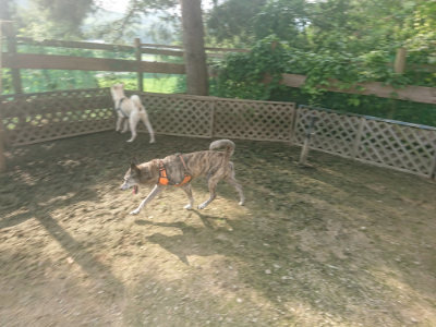 f:id:roukenhome-ann:20190718125240j:plain f:id:roukenhome-ann:20190718125240j:plain
