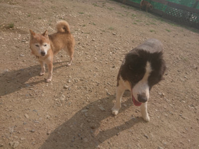 f:id:roukenhome-ann:20190718125248j:plain f:id:roukenhome-ann:20190718125248j:plain