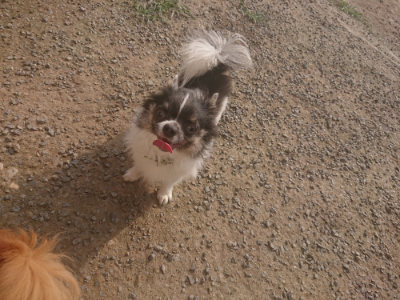 f:id:roukenhome-ann:20190718125316j:plain f:id:roukenhome-ann:20190718125316j:plain