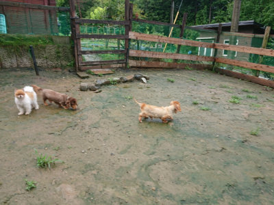 f:id:roukenhome-ann:20190722185205j:plain