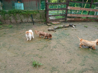 f:id:roukenhome-ann:20190722185210j:plain