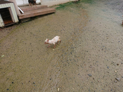 f:id:roukenhome-ann:20190722185241j:plain