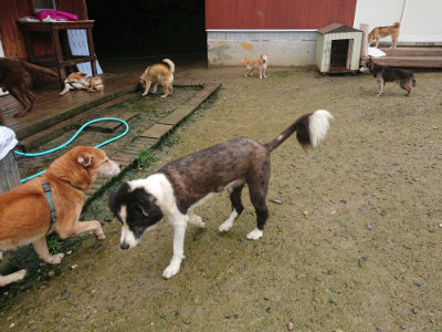 f:id:roukenhome-ann:20190722185249j:plain