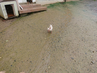 f:id:roukenhome-ann:20190722185315j:plain