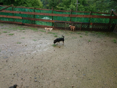 f:id:roukenhome-ann:20190722185336j:plain