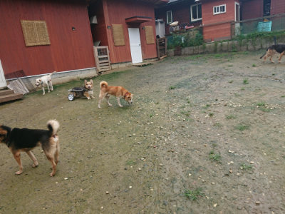 f:id:roukenhome-ann:20190722185342j:plain