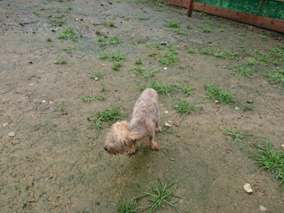 f:id:roukenhome-ann:20190722185358j:plain