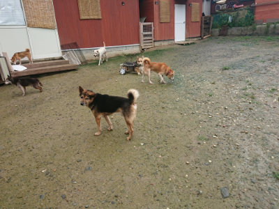 f:id:roukenhome-ann:20190722185416j:plain