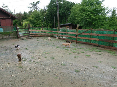 f:id:roukenhome-ann:20190722185438j:plain