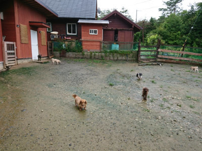 f:id:roukenhome-ann:20190722185508j:plain