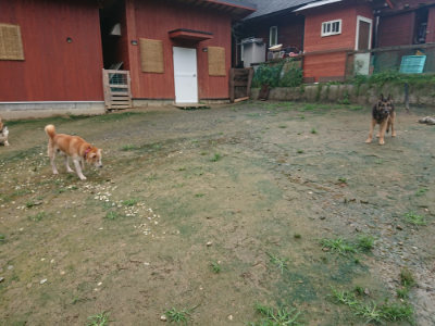 f:id:roukenhome-ann:20190722185610j:plain