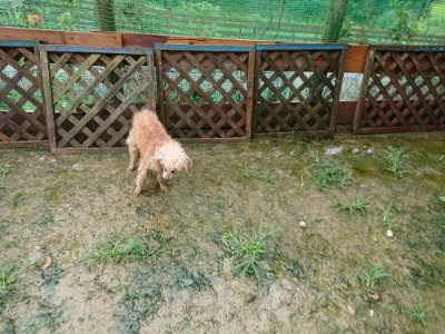 f:id:roukenhome-ann:20190722185656j:plain